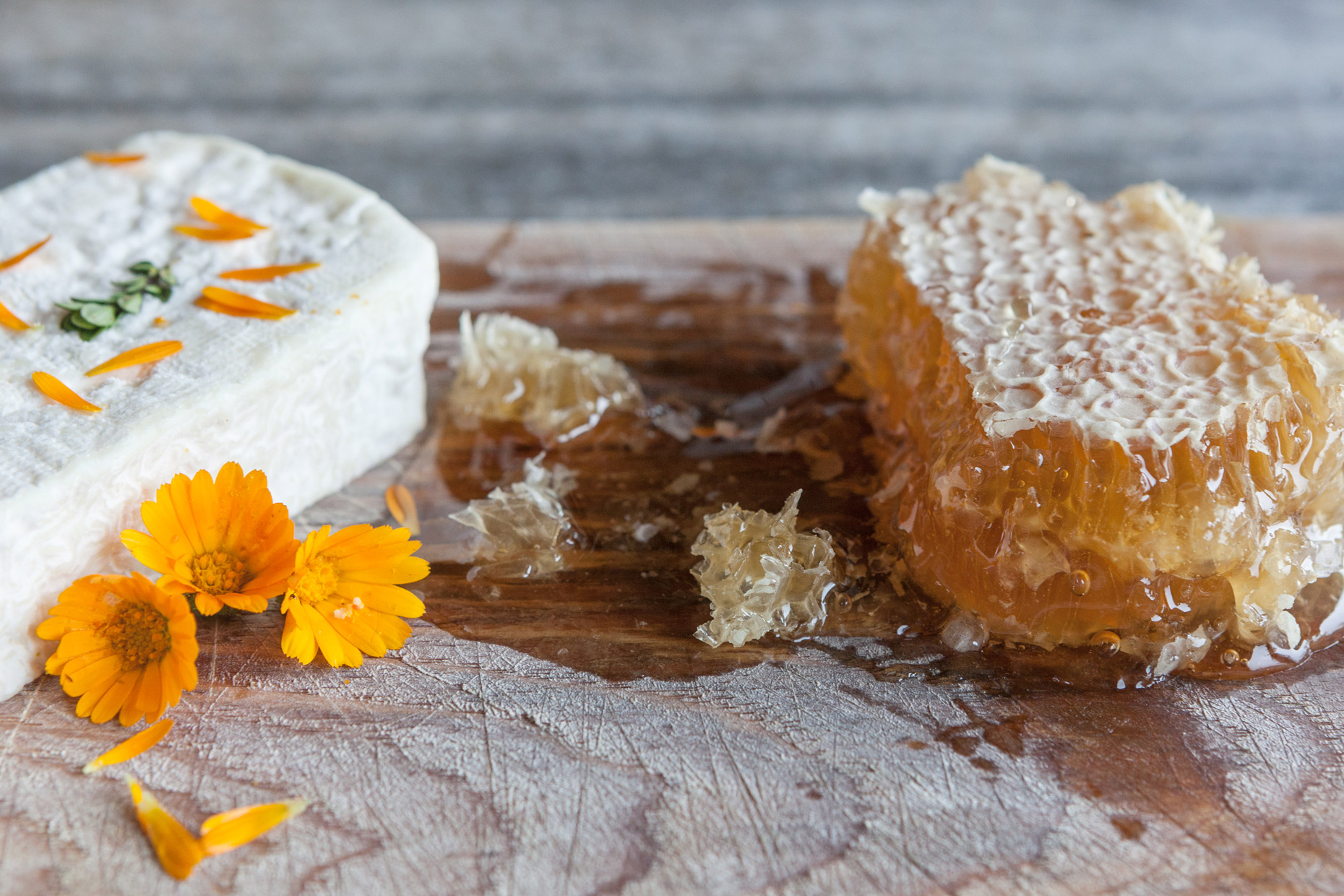 HEADER_5_WEB
